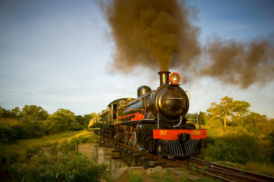 Royal Livingstone Express by Bushtracks