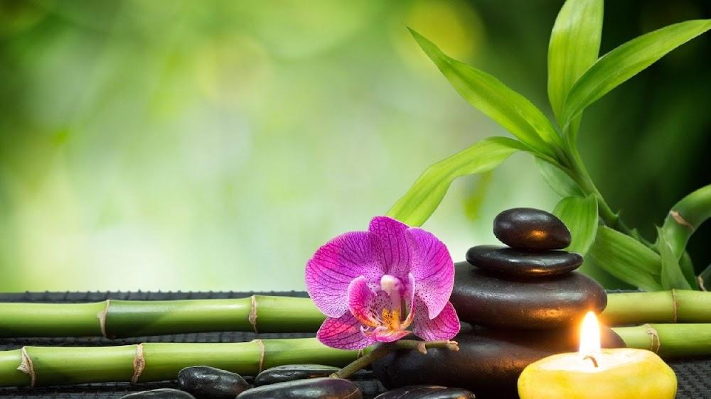 Cavi Touch Spa